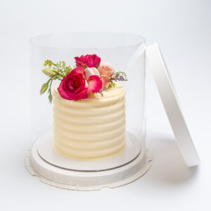Clear Cylinder Cake Box with White Lid and Base